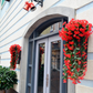 Buy 2 Get 1 Free🔥Vivid Beautiful Hanging Orchid Bunch-5
