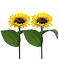 ⏳Time-Limited Special Price: ￡10.99!!⏰Sunflower Solar Garden Stake Led Lights🌻