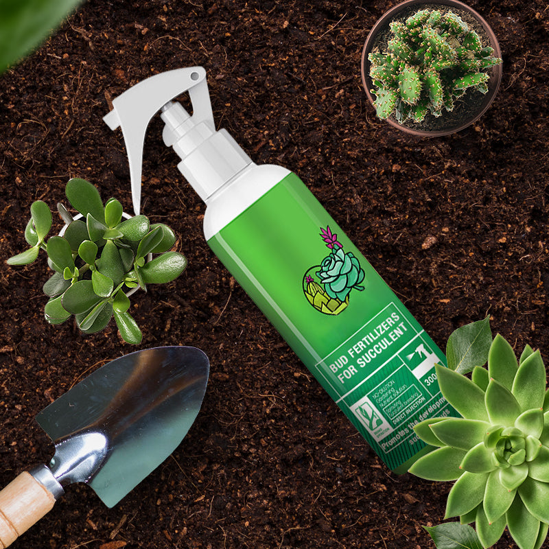 Bud Fertilizers for Succulent Plant-5