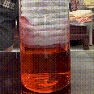 Absorbent Bath Towel-2